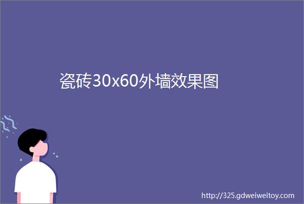 瓷砖30x60外墙效果图